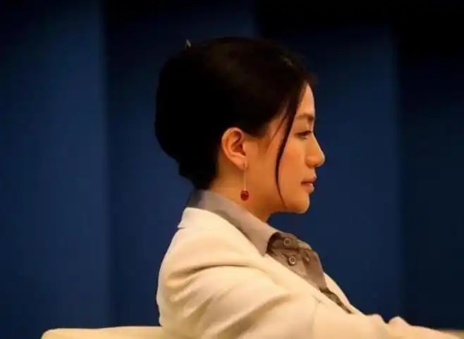 云峰基金李颖投资了哪些项目(云锋基金投资了哪些公司) - 东方君基金