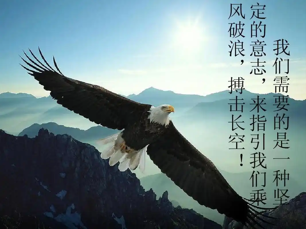 磨砺你的意志品质ppt