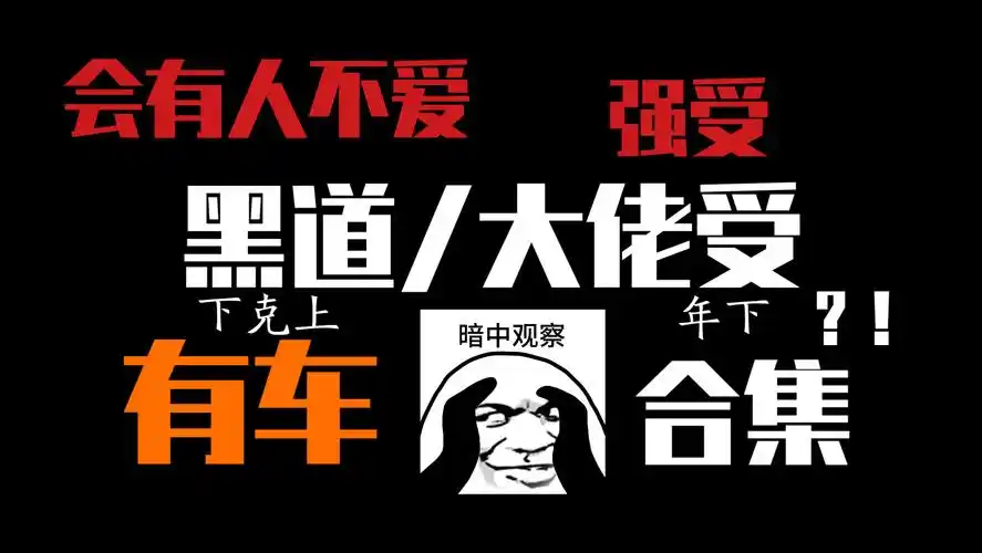 【推文】有车/黑道/大佬强受/下克上/年下合集