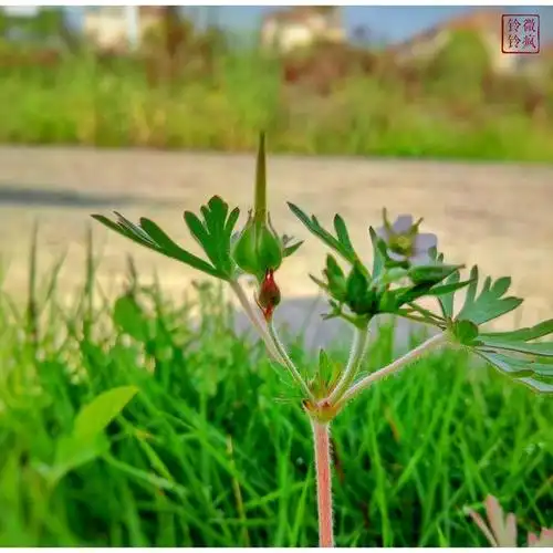 手机摄影记【1】:不开心?尝试摄影治愈