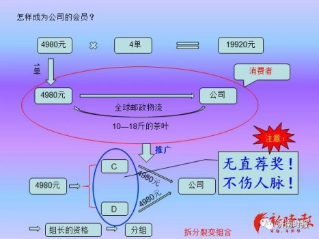 妻子疑陷传销"失联",济南男子求援!记者暗访华莱健黑茶"拉人头"内幕