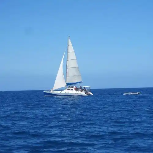 酷未招募☆这是我见过最赞的帆船活动 没有.