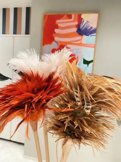 鸡毛掸子扫灰打扫房间神器