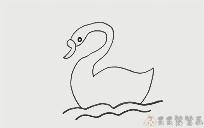 一对天鹅水中简笔画