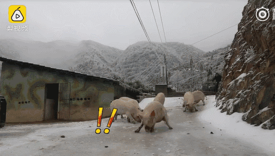 这么滑,完犊子!