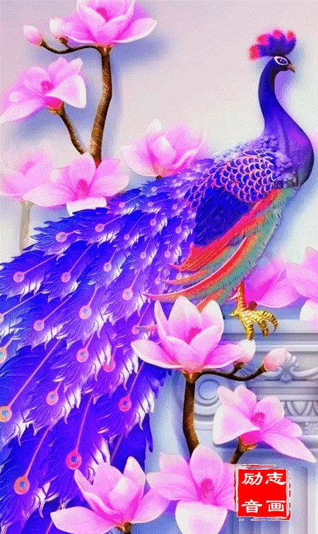 450_755竖版 竖屏gif 动态图 动图