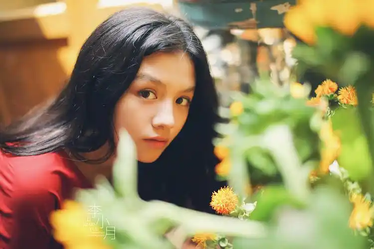 踏血寻梅春夏金像奖影后