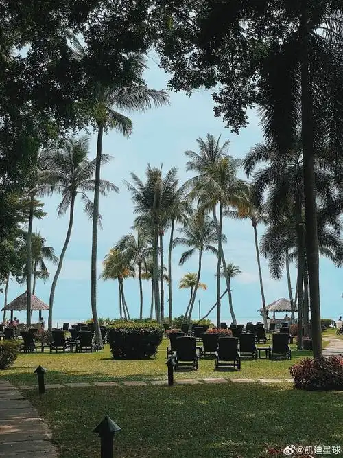 2024出国看海计划|槟城的海可以治愈一切78156901    每到6月