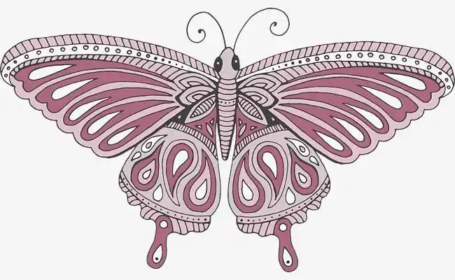 手绘文艺风动物插画卡通手绘文艺简约蝴蝶动物插画设计