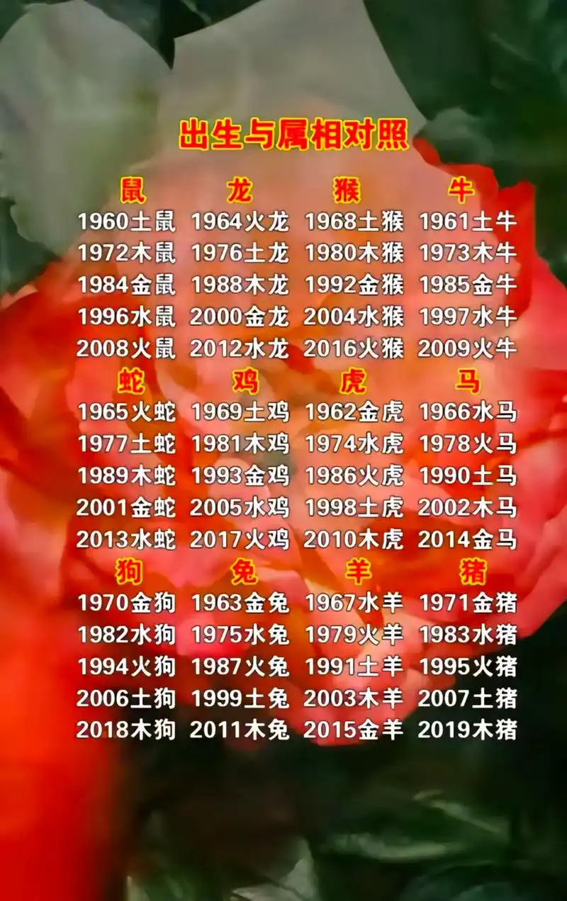 五行夫妻 属相有讲究 .# 世间万物皆有轮回   #说的有道 - 抖音