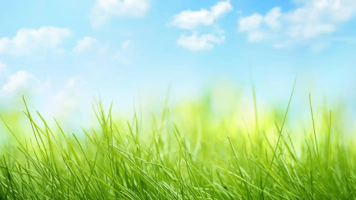 蓝天白云自然风景桌面壁纸下载高清大图预览1920x1080_风景壁纸下载