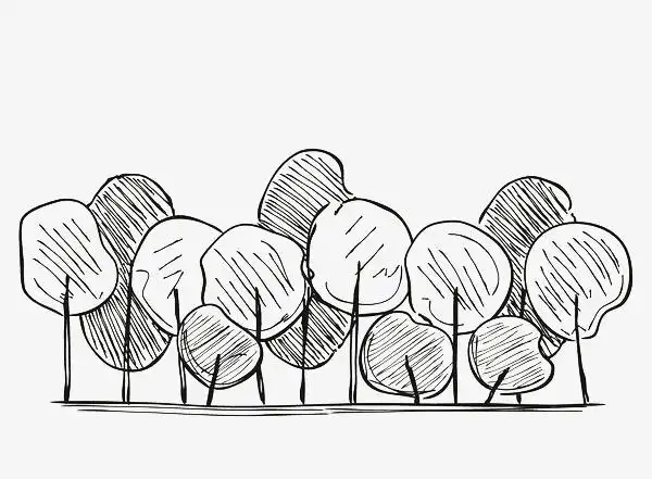 黑色线条手绘树林