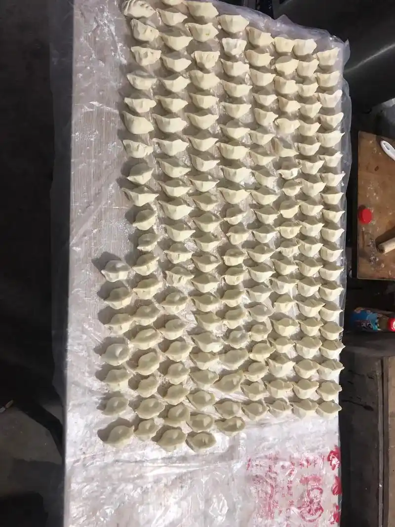 手工包饺子 #家的味道 #生活的烟火气 - 抖音