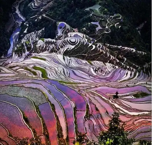 中国十大罕见自然奇观,中国十大世界级绝世美景,你去过几个(图16)