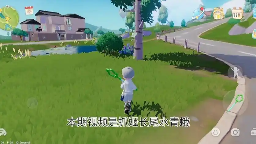 心动小镇昆虫全收集含位置-姬长尾水青蛾