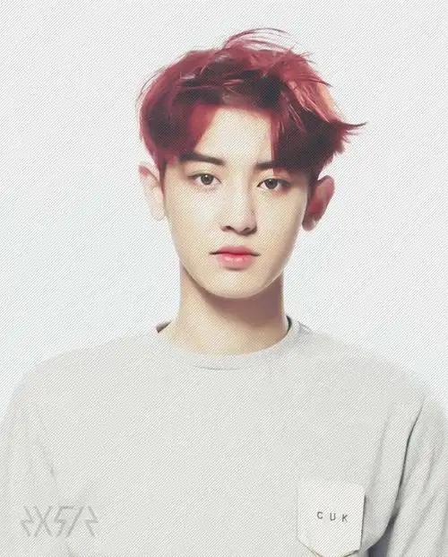 exo穿白色衣服求exo12人个人图