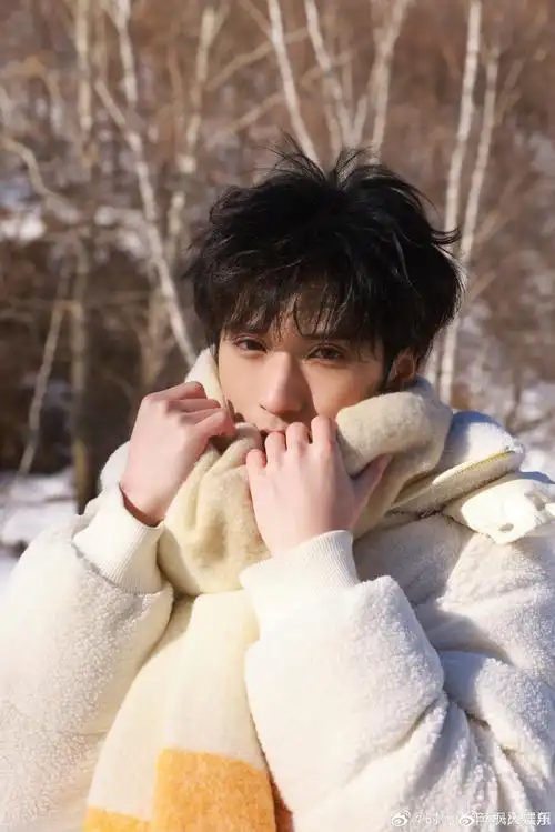 严浩翔雪地随拍live图