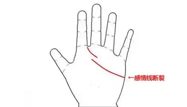 感情线断裂的手相图解