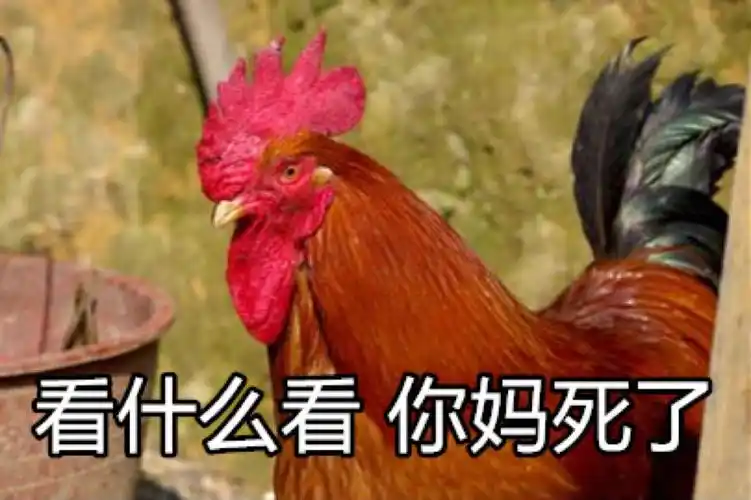 斗图表情包 - 斗图神器 - adoutu.com