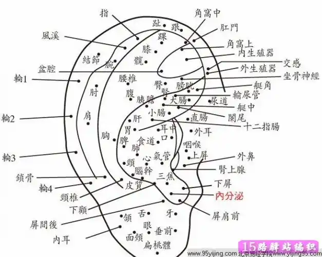女人耳朵的痣与命运图女人耳朵前长痣面相图
