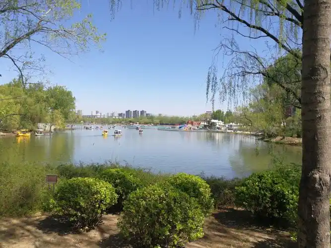 北京朝阳公园美景