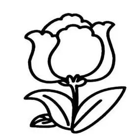 简笔画花简笔画花朵