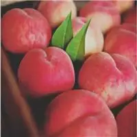 桃子头像图片大全唯美清新的水果桃子头像图片