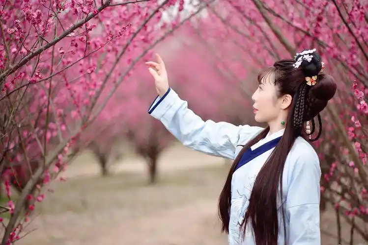 二月梅花开,正是探春时