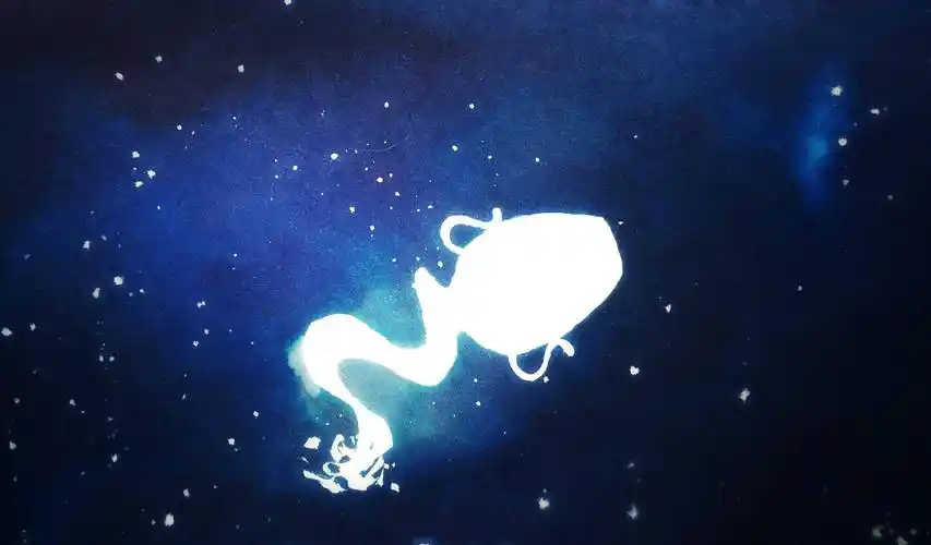 水瓶座2022上半年运势详解重新崛起自由之花何时盛开