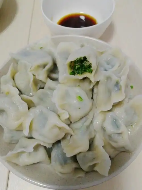 茴香猪肉饺子家常详细版的做法