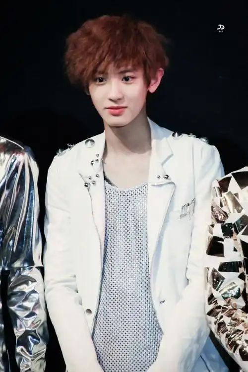 邓为站姐发了exo