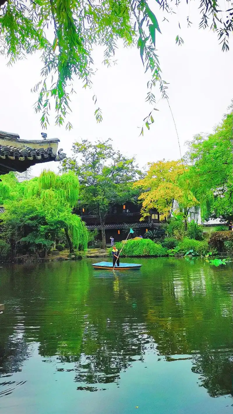 手机摄影 #金秋十月 #生活随拍记录美好瞬间 #实拍景色图 - 抖音