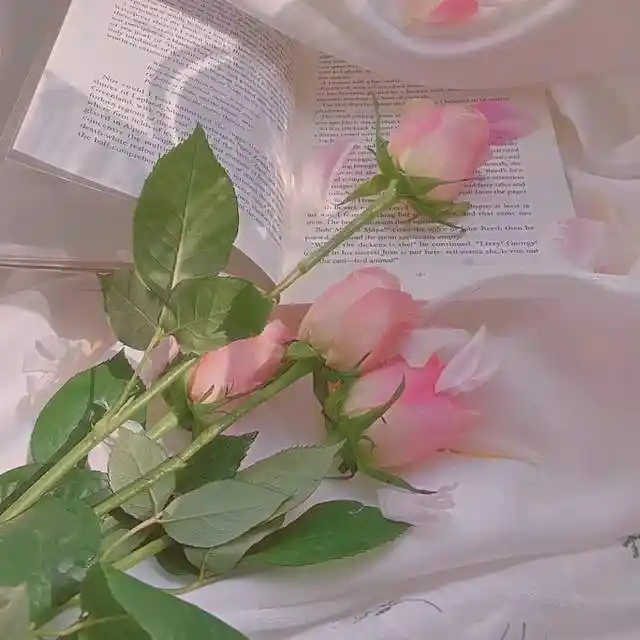 一些超美超治愈的朋友圈背景图