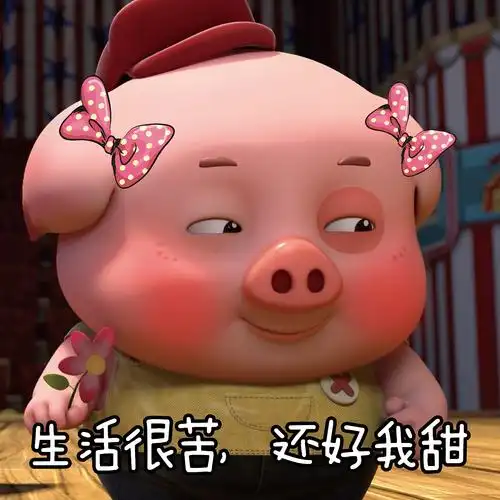 探探猫搞笑图片合集:你想要的我都给你!