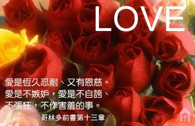 爱是恒久忍耐,为了你爱的人,为了有爱的生命.