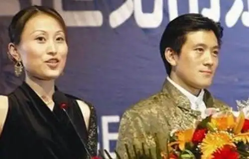 河北巨力集团有多少亿黄圣依的丈夫杨子资产有多少个亿