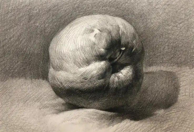 超详细素描静物画法分析苹果