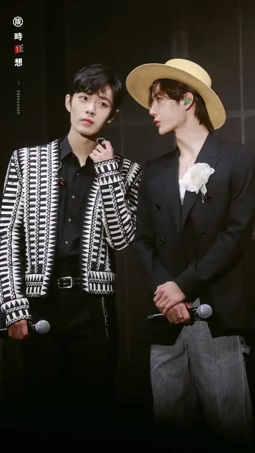 博君一肖,陈情令,肖战,王一博博君一肖 王一博肖战 cp 陈情令演唱会