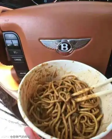 求各位28有28的jrs,想要在豪车里装作吃煎饼但是漏出豪车车标的那种