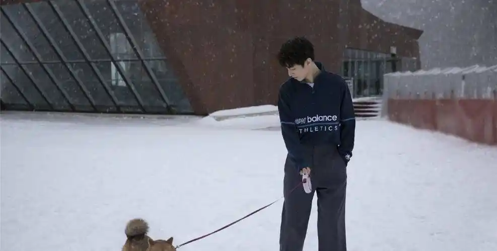 王俊凯堆雪人画面唯美,和柴犬漫步雪地之间,独自远眺_小柴_肚子_因为
