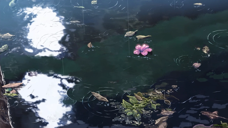 言叶之庭 1080p高清壁纸 唯美清新动漫风 这种壁纸手机不存几张 真