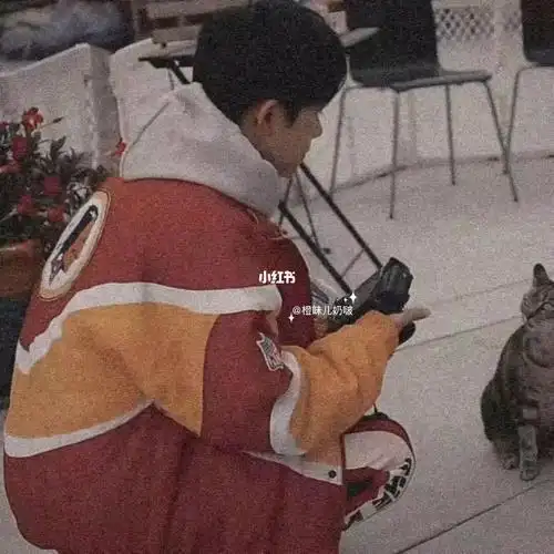 论和易烊千玺情头这件事