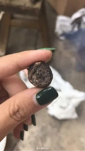 (论骗子的不要脸程度)一颗仙女杯发黄酸臭切开发软都没问题,请大神们