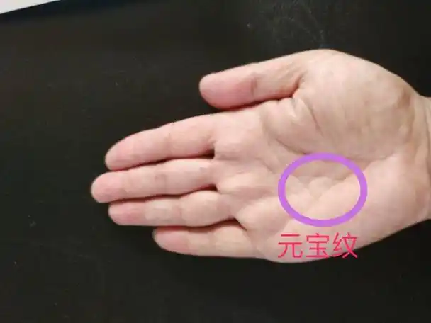 手相看人运势不可盲目套用,一定要切合自己的手纹变化,不同的人不同的