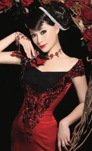 沈凌云国家一级演员,中国青年女高歌唱家