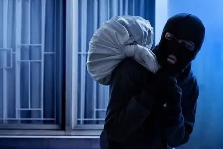 蒙面的河豚蒙面小偷夜间逃跑照片