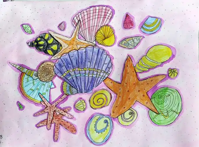 暑期绘画作品-贝壳
