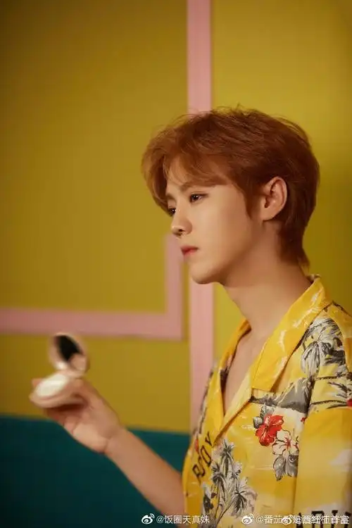 鹿晗工作室在国庆期间放出鹿晗黄色花衬衫造型四张!__财经头条