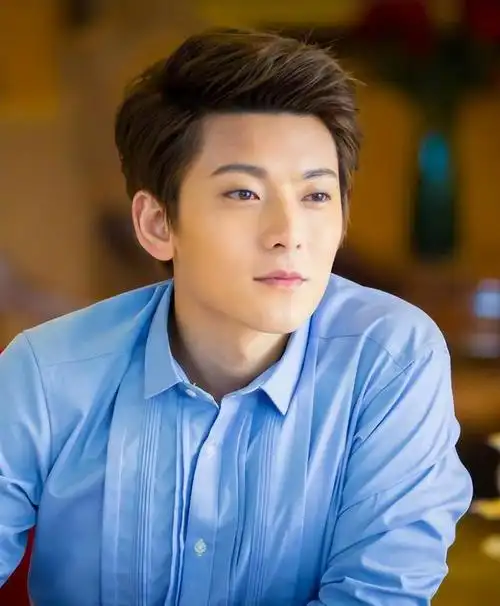 涉足影视圈以后,陆续参演了《神雕侠侣》,《旋风少女》,《寻秦记》等