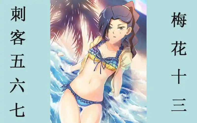 【刺客五六七】梅花十三泳装_哔哩哔哩 (゜-゜)つロ 干杯~-bilibili